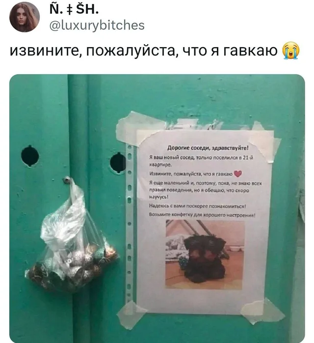 Объявление приклеено скотчем к зеленой двери, рядом висит пакет с конфетами. — щенок (на фото в объявлении)