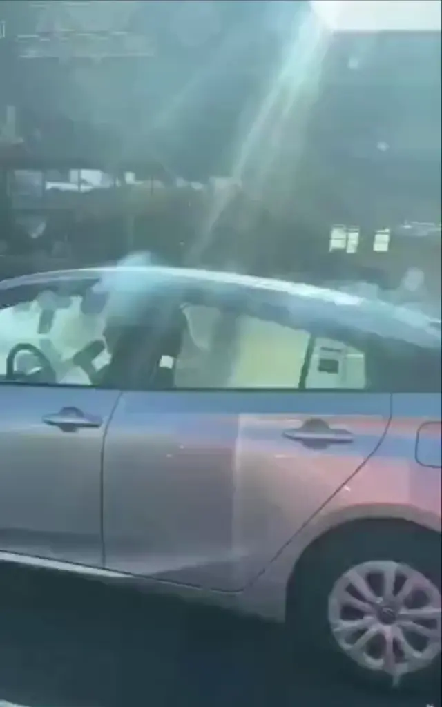 Пение в машине с микрофоном