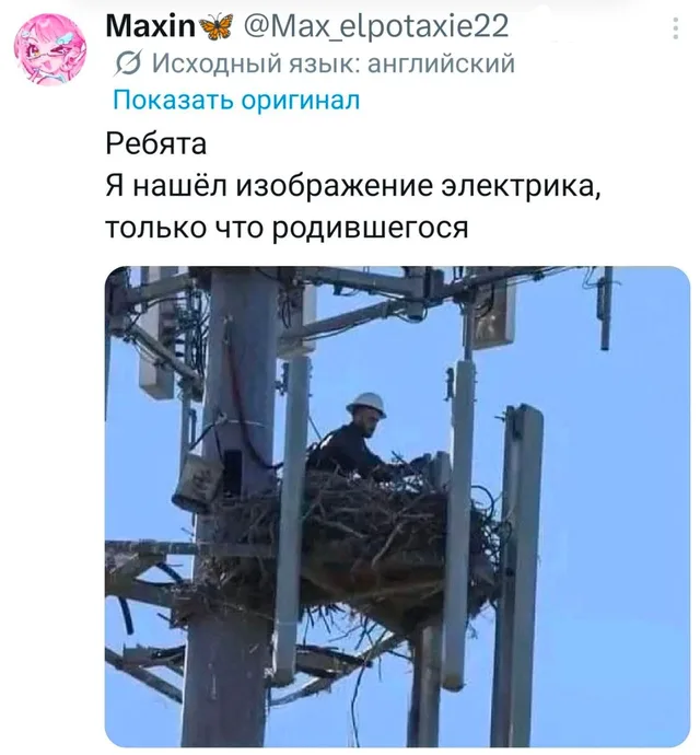 Новорожденный электрик в гнезде