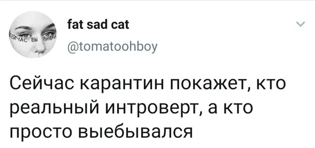 Статичное изображение, текст твита. — автор поста с ником @tomatoohboy