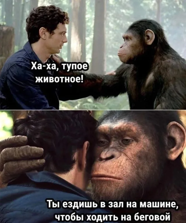 Человек насмехается над обезьяной, затем обезьяна обнимает человека, как бы жалея его. — человек