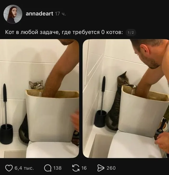 Мужчина держит руку в бачке унитаза, кот стоит рядом и тянется лапой к внутренностям бачка, пытаясь «помочь» или просто изучить происходящее