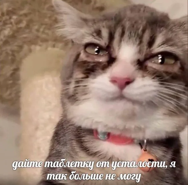 Дайте таблетку от усталости