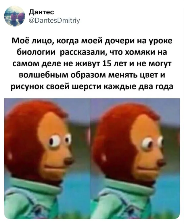 Обезьяна отворачивается: правда про хомяков