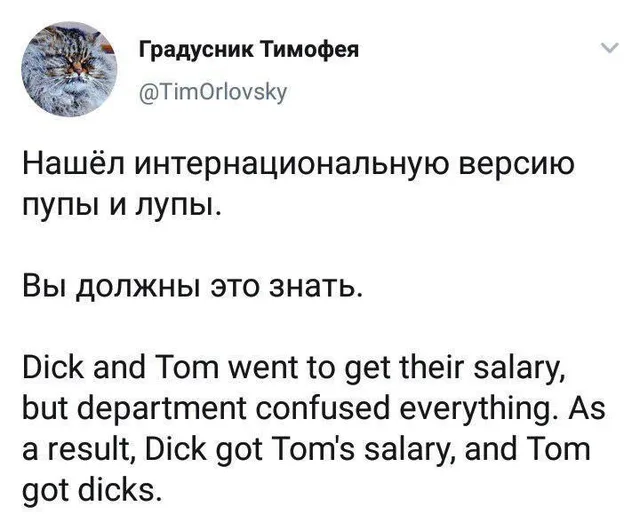 Скриншот твита с русским текстом-подводкой и английской шуткой ниже — Автор поста с аватаркой кота
