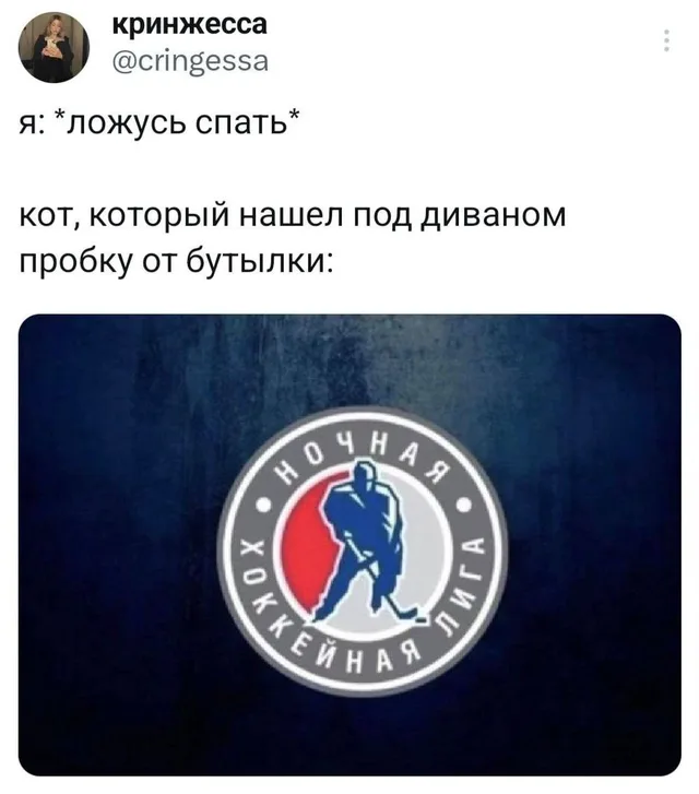 Статичное изображение логотипа хоккейной лиги после текстового описания ночной активности кота. — автор поста @cringessa