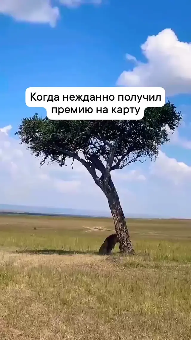 Когда нежданно получил премию на карту