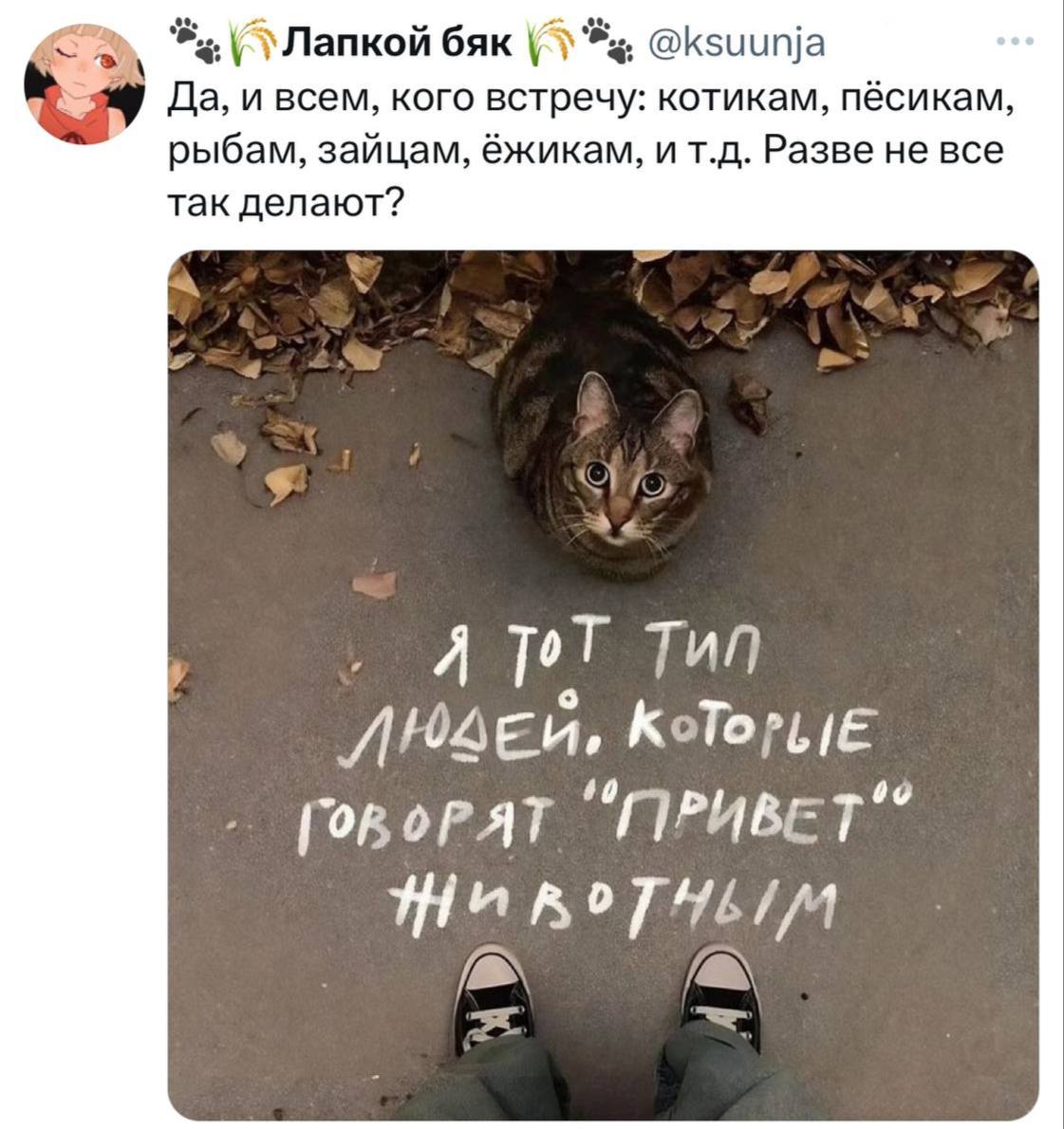 Π― ΡΠΎΡ ΡΠΈΠΏ Π»ΡΠ΄Π΅ΠΉ, ΠΊΠΎΡΠΎΡΡΠ΅ Π³ΠΎΠ²ΠΎΡΡΡ ΠΏΡΠΈΠ²Π΅Ρ ΠΆΠΈΠ²ΠΎΡΠ½ΡΠΌ