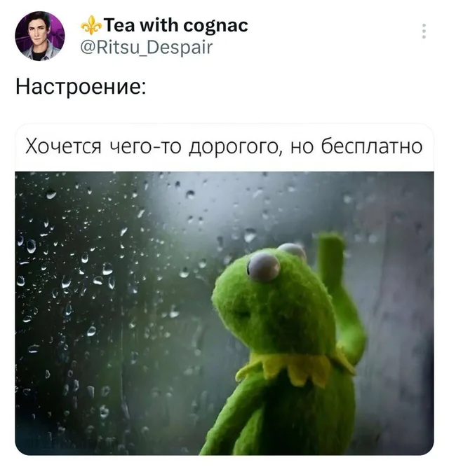 Статичное изображение, лягушонок грустно смотрит в окно.