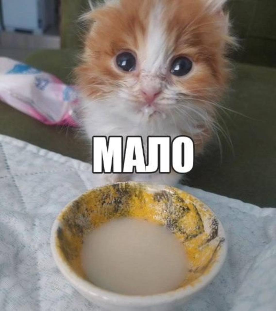 Мало (рыжий котенок с молоком)