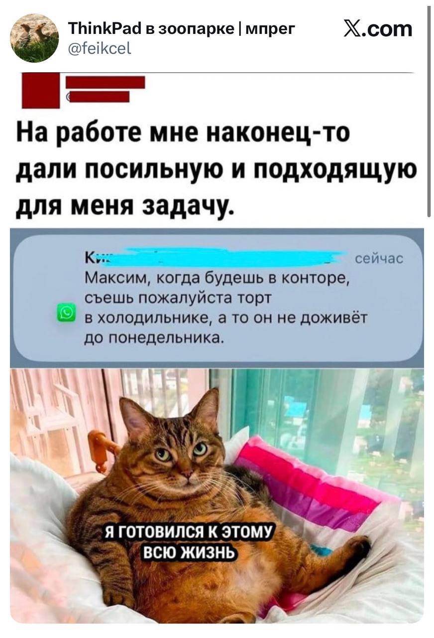 Посильная задача на работе