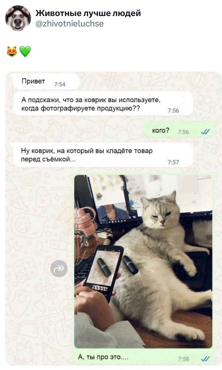 Коврик для фотосъемки — это кот