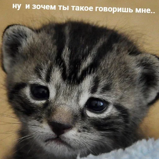 Ну и зачем ты такое говоришь мне