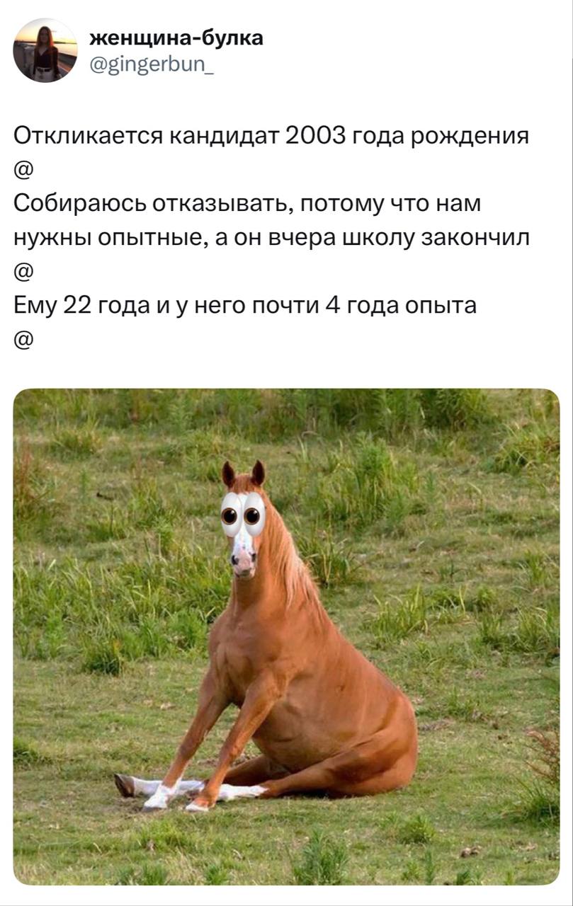 Кандидат 2003 года рождения