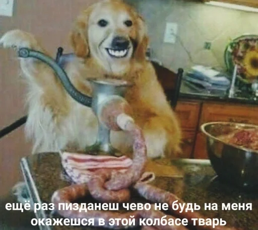 Угроза от доброго пса