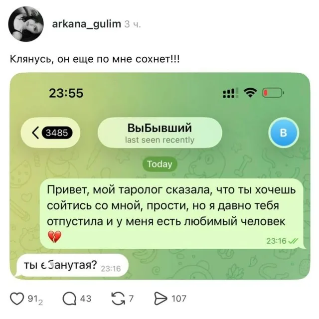 Статичное изображение переписки, где отправитель пишет длинное сообщение с отсылкой к тарологу, а получатель отвечает короткой грубостью. — 