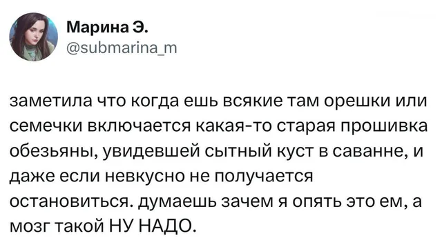 Старая прошивка обезьяны