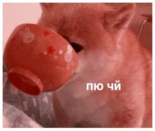 Пю чи