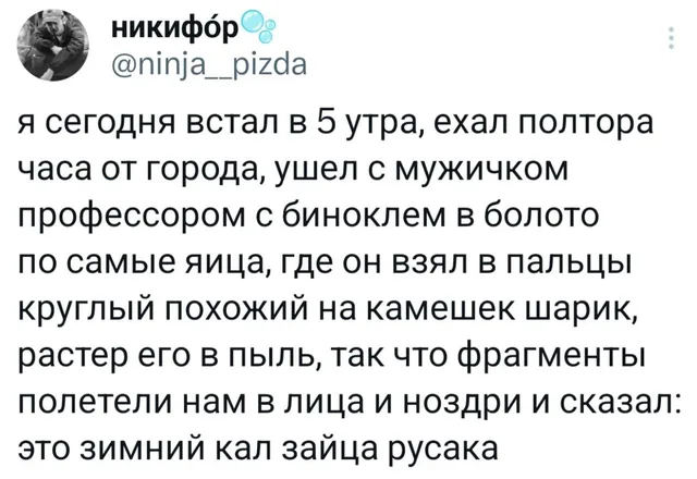 Зимний кал зайца русака
