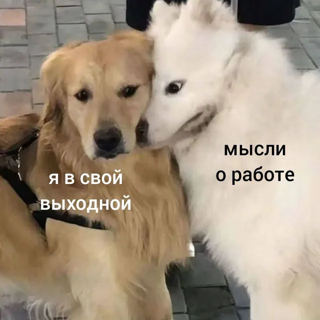 Я в свой выходной и мысли о работе