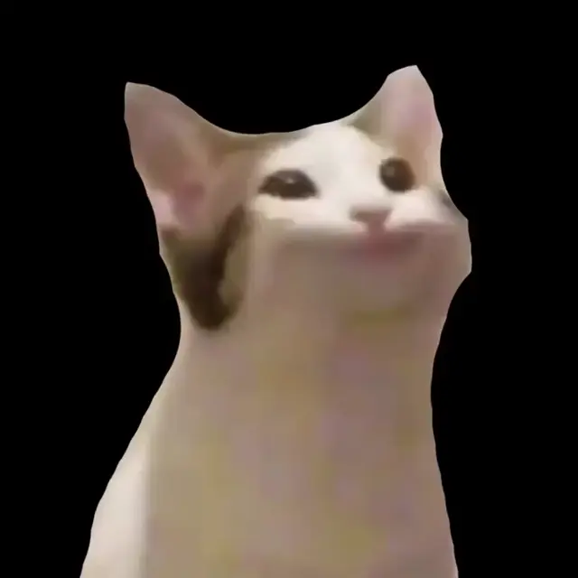 Поющий кот Поп Кэт в небесах