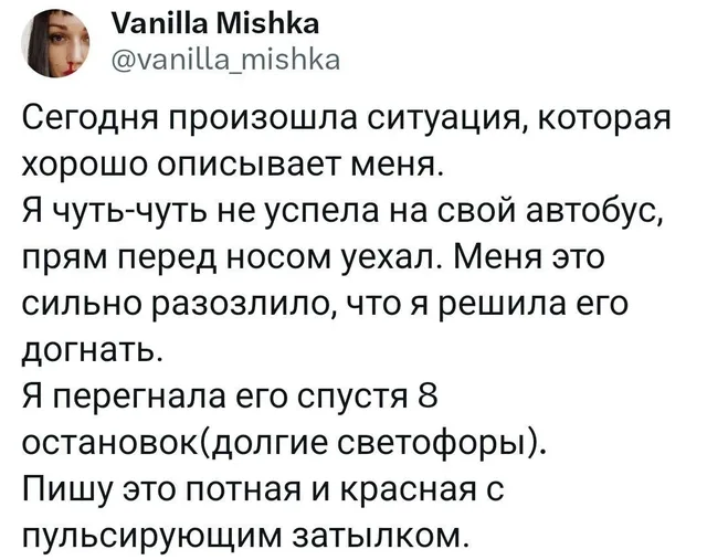 Текст зафиксирован в виде поста в социальной сети. — автор поста с ником Vanilla Mishka