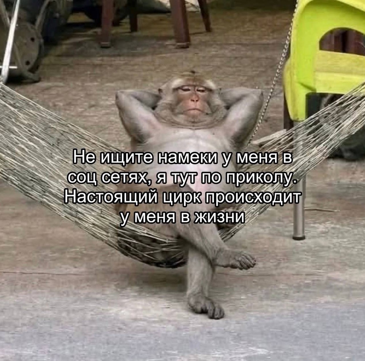 Цирк в жизни, покой в соцсетях