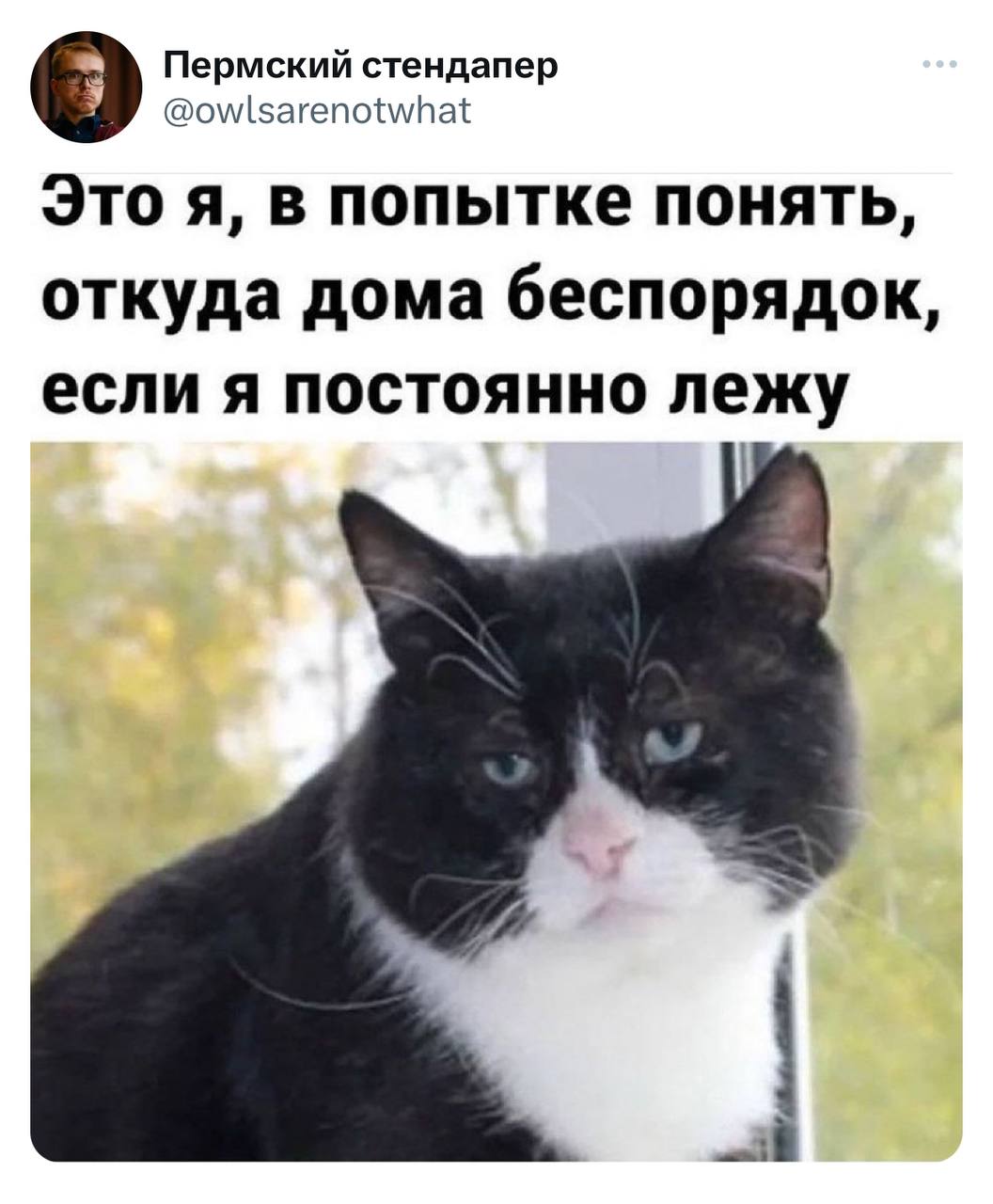 Это я, в попытке понять, откуда дома беспорядок