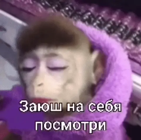 Заюш на себя посмотри