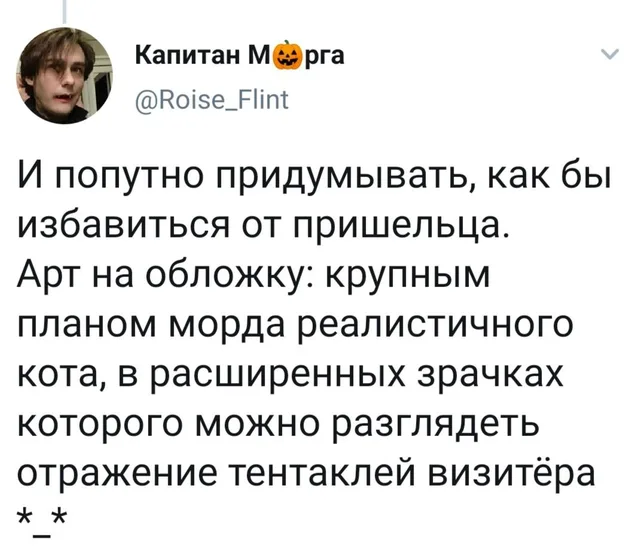 Статичное изображение текста твита. — автор поста с ником @Roise_Flint