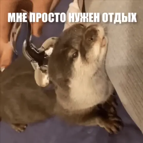 Мне просто нужен отдых