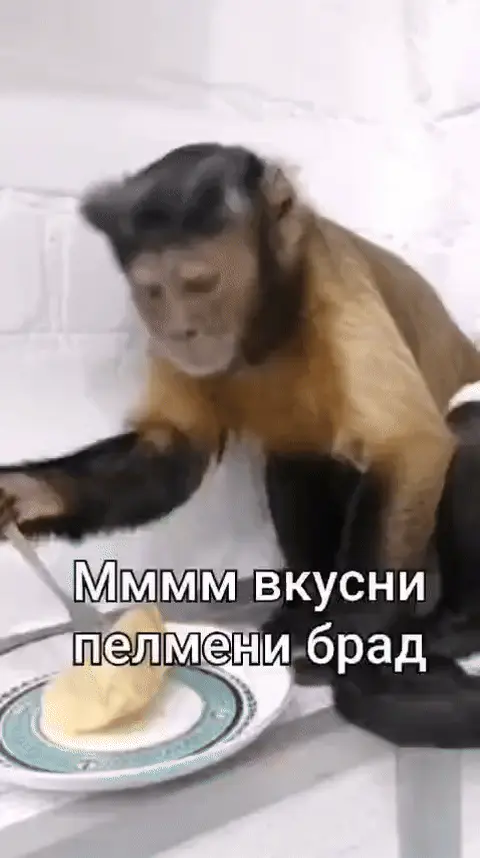 Мммм вкусни пелмени брад