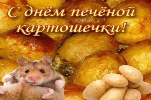Статичное изображение, коллаж из фото хомяка и картофеля.