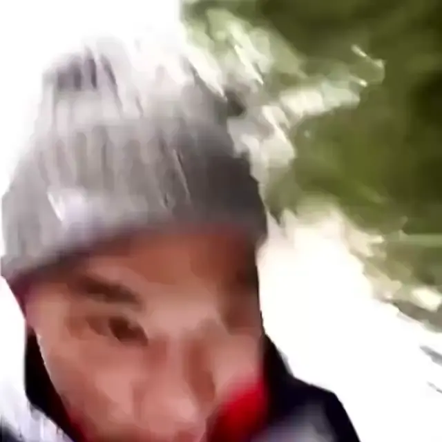 Убегаю от медведя, жизнь я тебя люблю