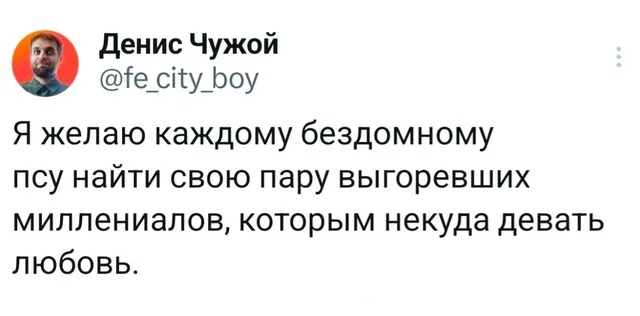 Выгоревшие миллениалы и бездомные псы