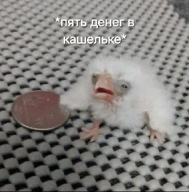 через неделю после ЗП