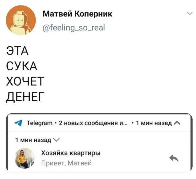 Статичное изображение, совмещающее текст твита и всплывающее уведомление — автор поста Матвей Коперник, хозяйка квартиры