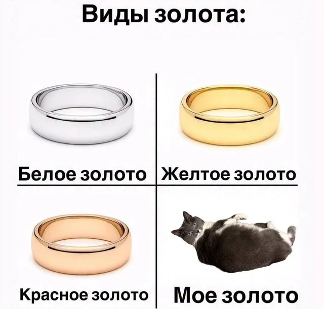 Виды золота и мой кот