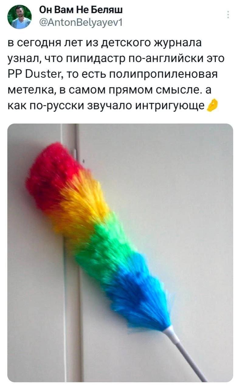 Пипидастр — это просто метелка