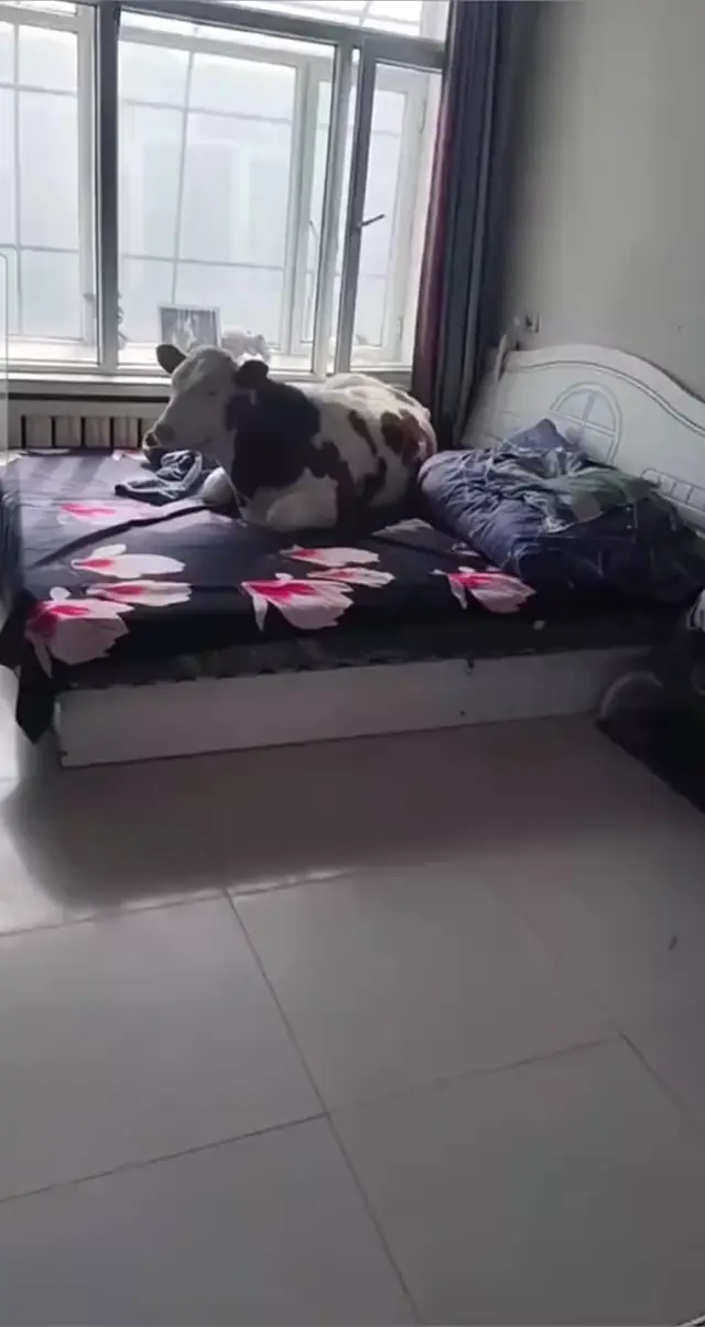 Доброе утро, моя девочка