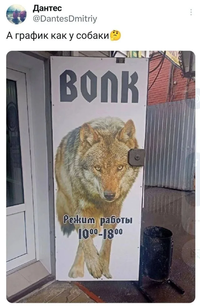 Статичное изображение двери с рекламной наклейкой. — Добби