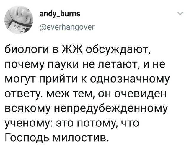 Статичное изображение твита. — Грю Фелониус