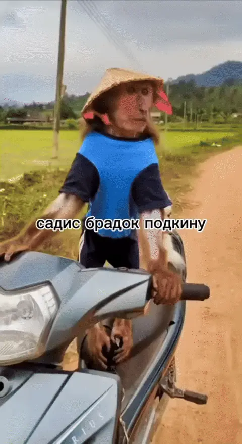 Садись брадок подкину