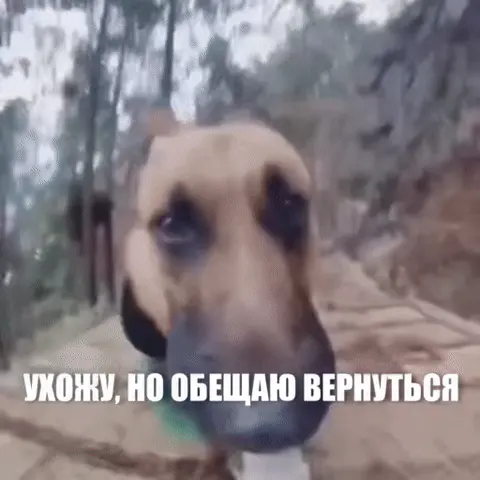 Ухожу, но обещаю вернуться