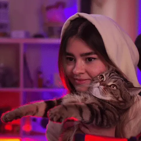 Девушка держит кота, кот вытягивает лапы вперед, затем одна лапа кота касается лица девушки, после чего она слегка отстраняется и улыбается.