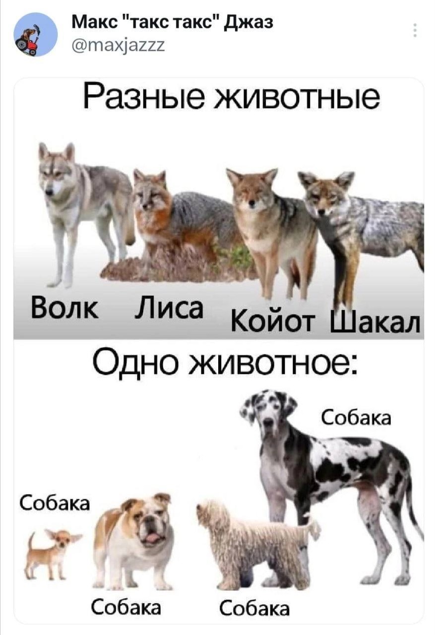 Биологическое разнообразие против собачьей селекции