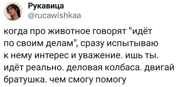Животное идёт по своим делам