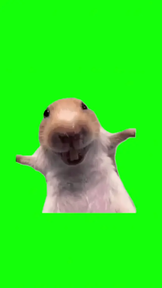 Смеющийся хомяк на зеленом фоне