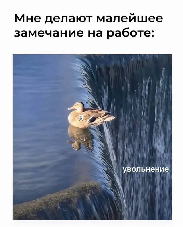 Малейшее замечание на работе