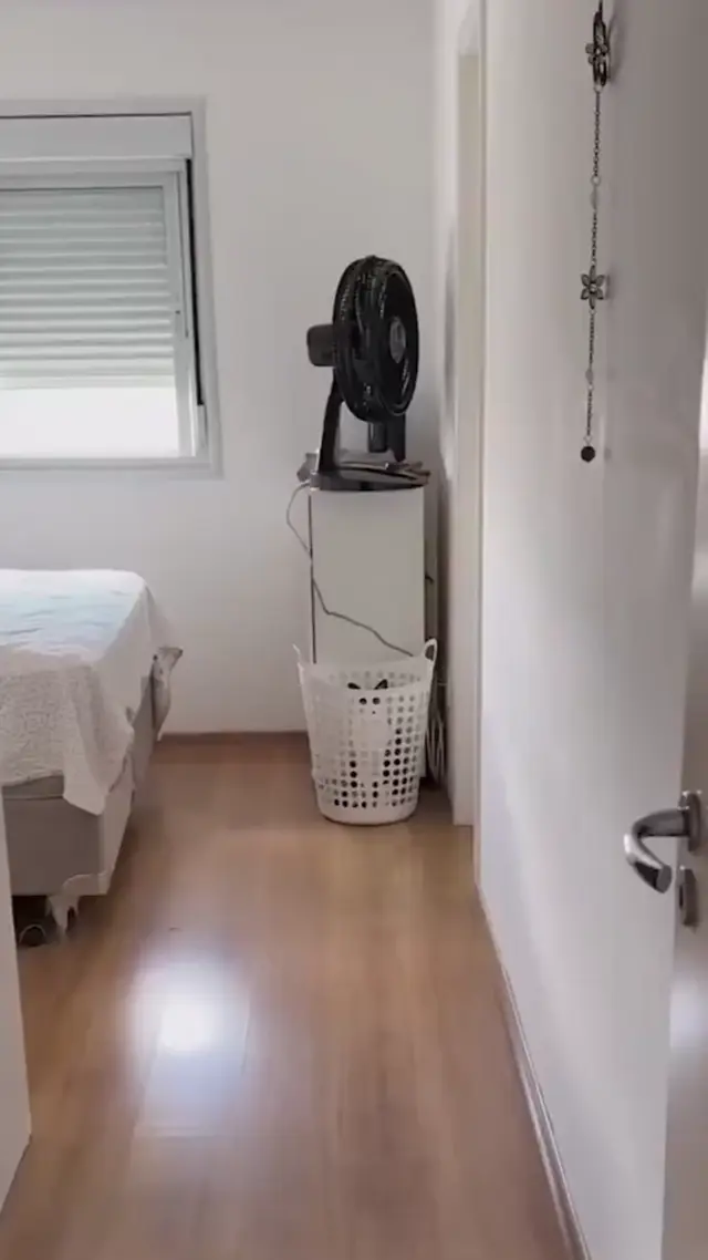 Кот шпионит из корзины для белья